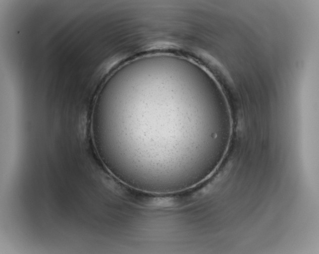 X0000115671313200911191017