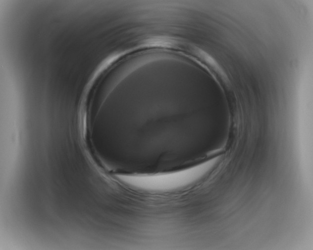 X0000115671323200911191017