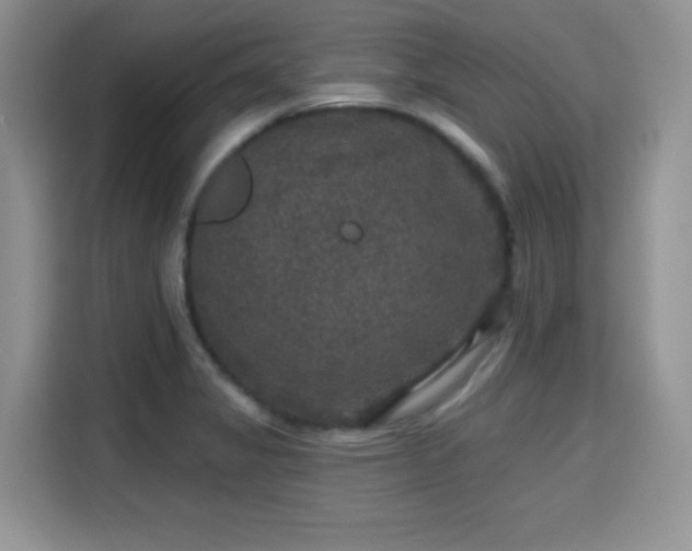 X0000115671325200911191017