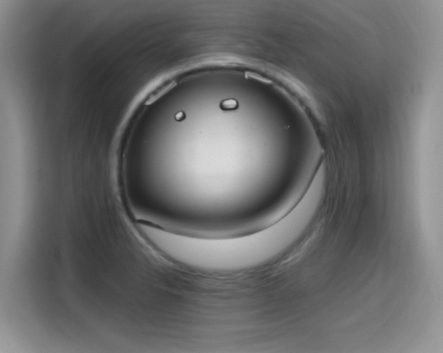 X0000115671326200911191017