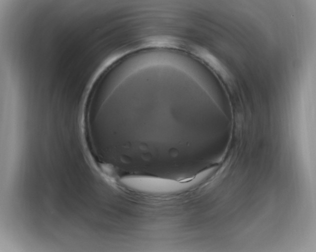 X0000115671331200911191018