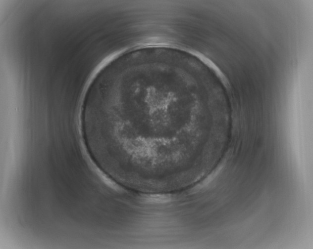 X0000115671333200911191018