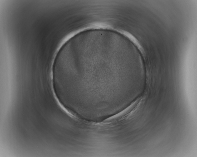 X0000115671335200911191018