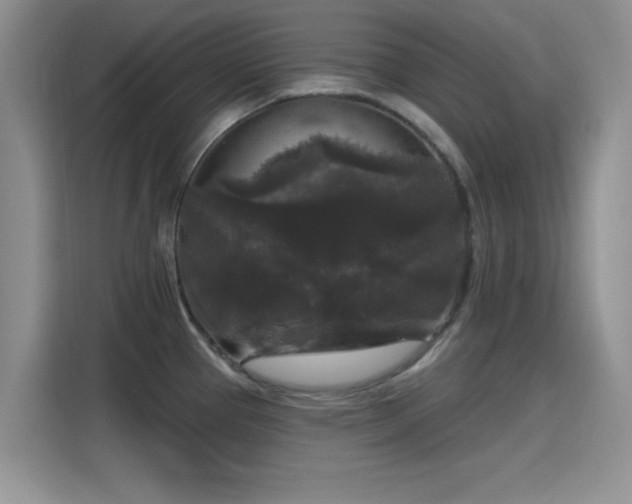 X0000115671337200911191018