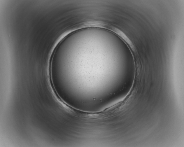 X0000115671339200911191018