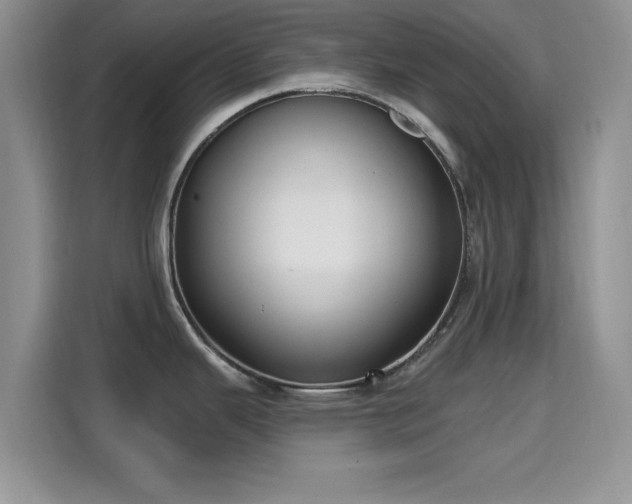 X0000115671343200911191018