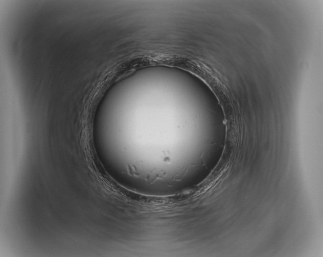 X0000115671345200911191017