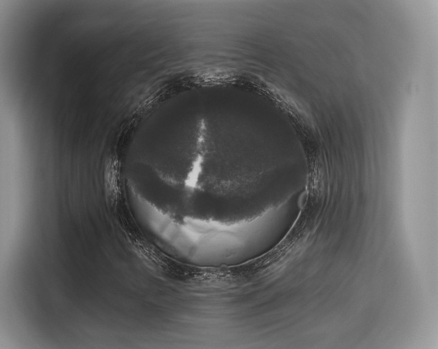 X0000115671346200911191017