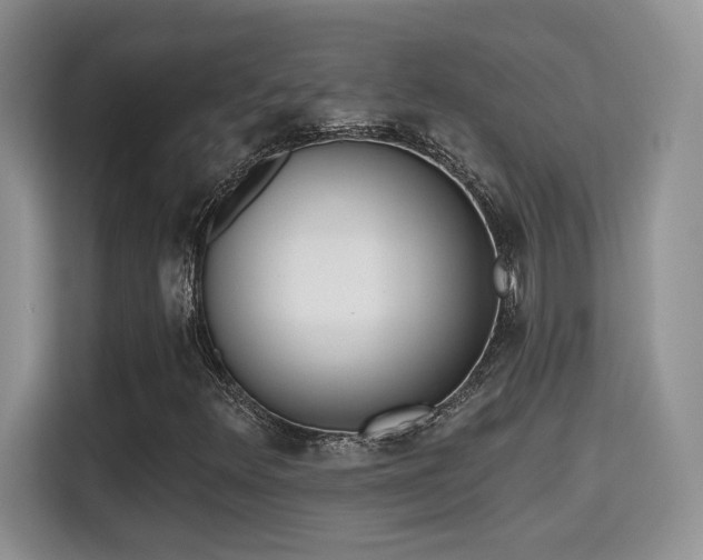 X0000115671348200911191017