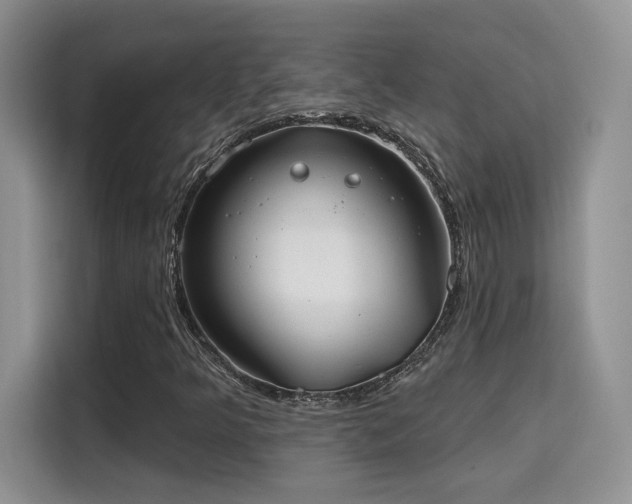 X0000115671349200911191017