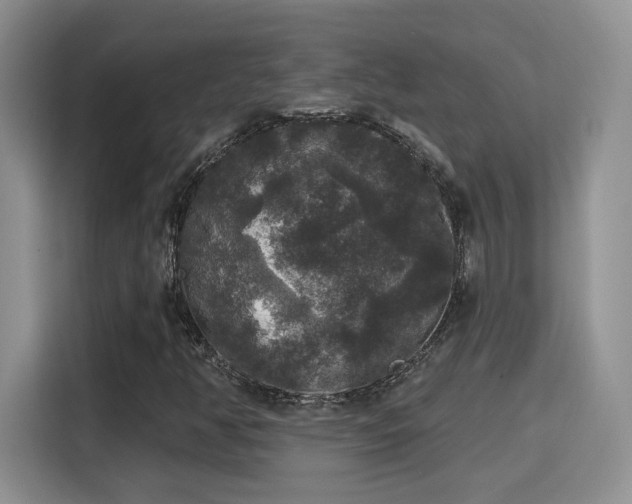 X0000115671350200911191017
