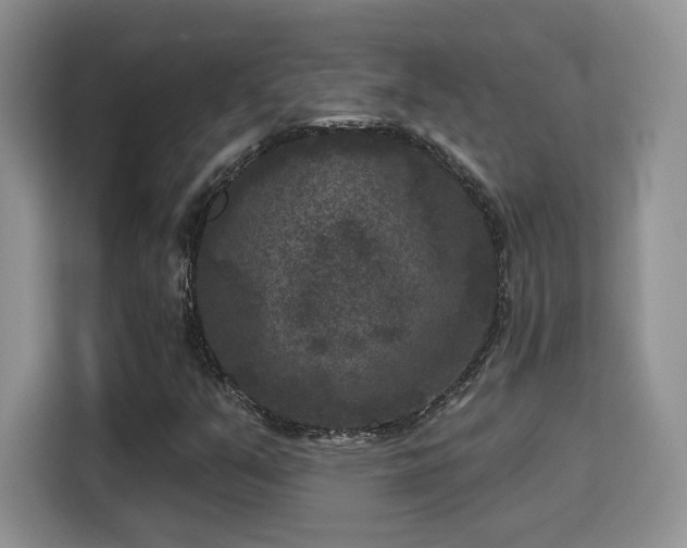 X0000115671351200911191017