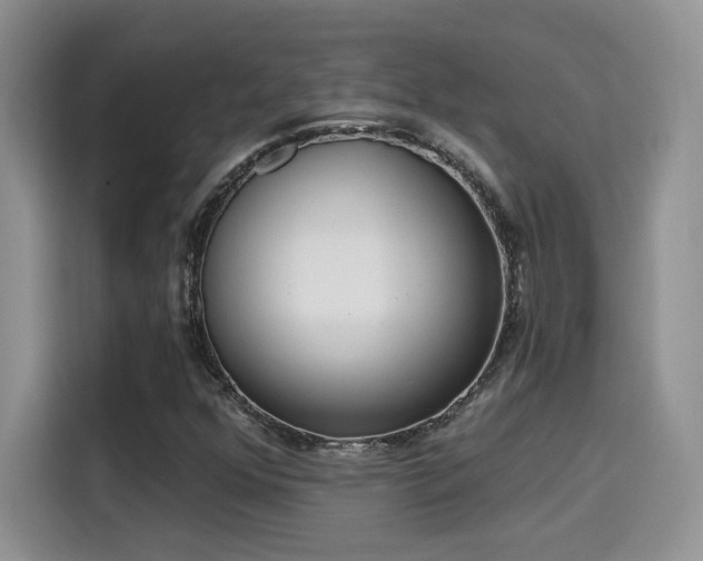 X0000115671352200911191017