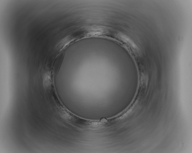 X0000115671353200911191017