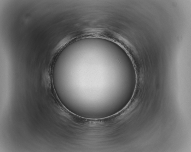 X0000115671354200911191017