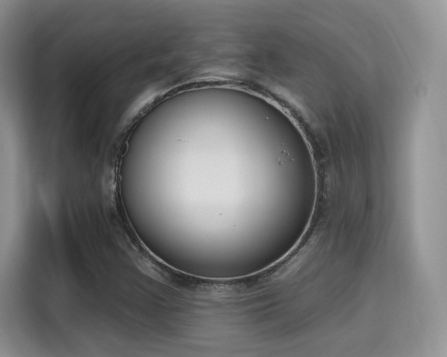X0000115671355200911191017