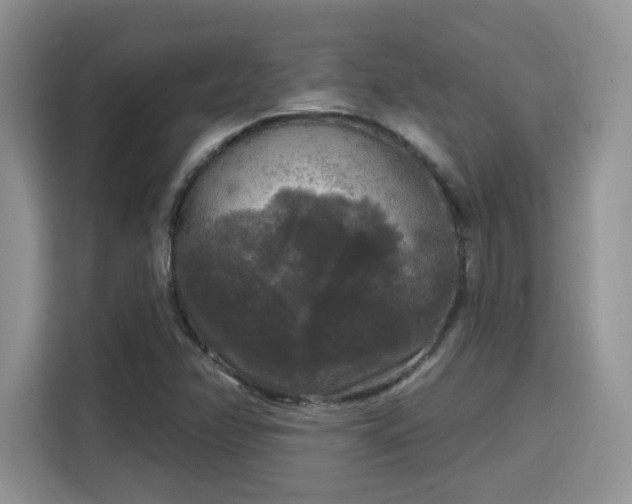 X0000115671358200911191017