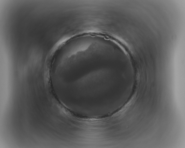 X0000115671359200911191017