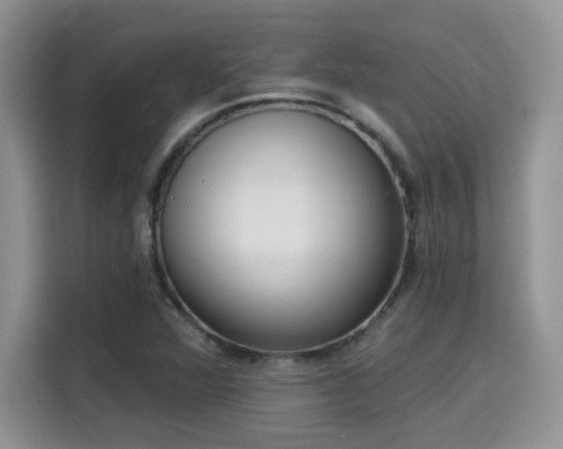 X0000115671360200911191017