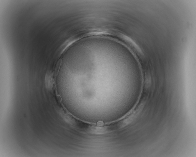 X0000115671361200911191017