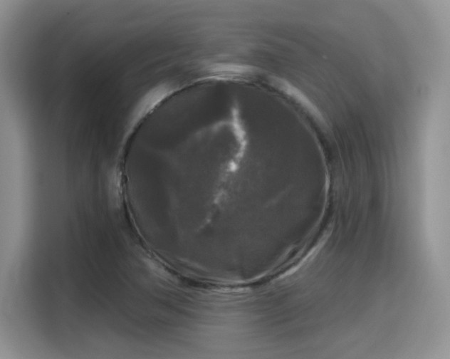 X0000115671362200911191017