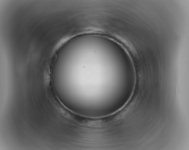 X0000115671363200911191017
