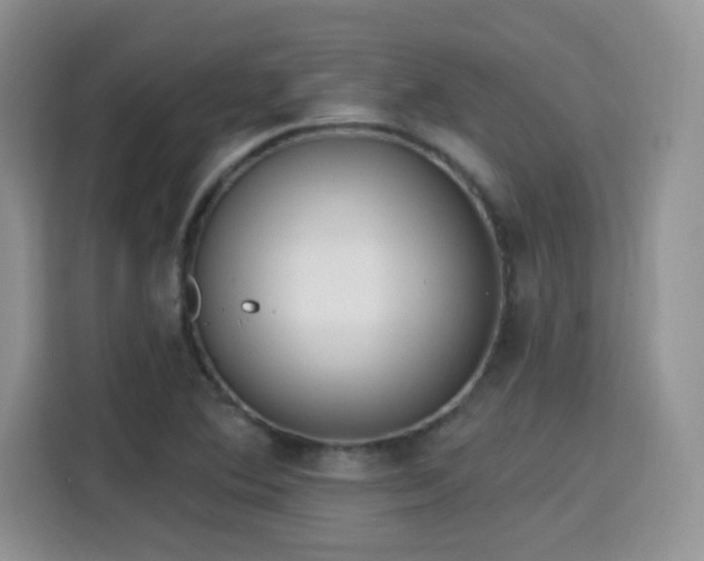 X0000115671364200911191017