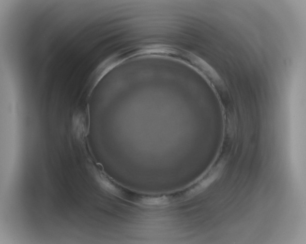 X0000115671369200911191017