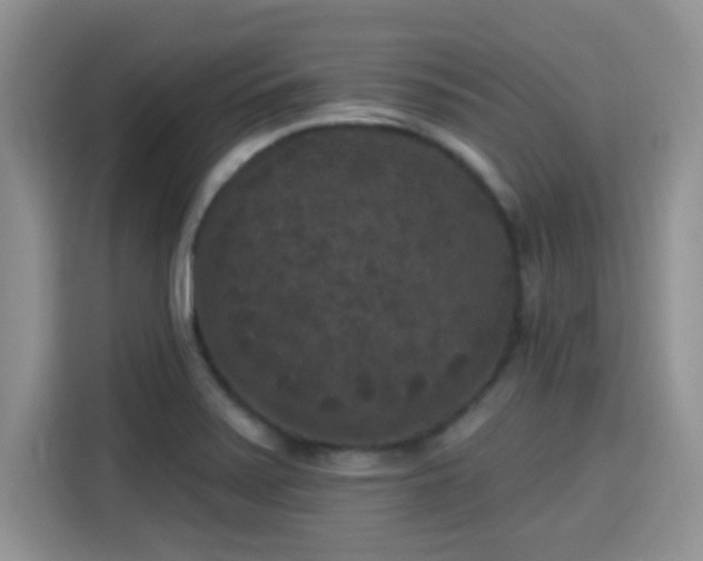 X0000115671371200911191017