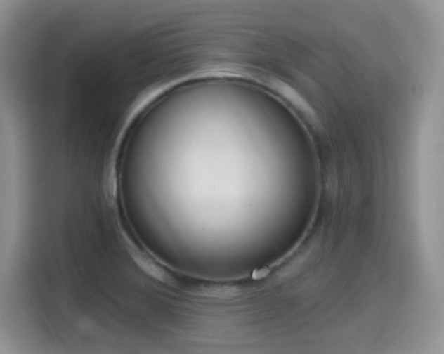 X0000115671372200911191017