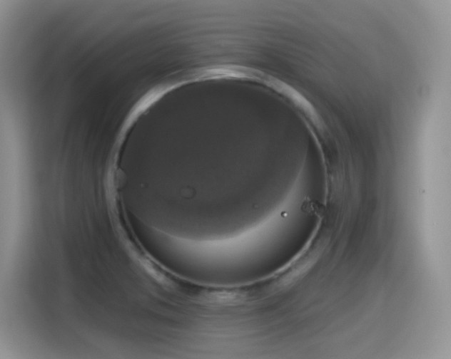 X0000115671373200911191017