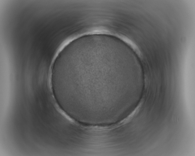 X0000115671374200911191017
