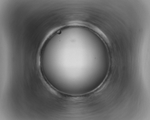 X0000115671376200911191017