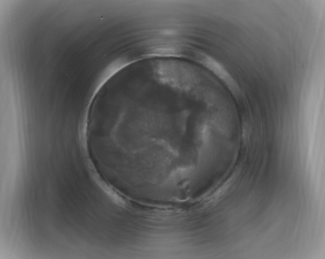 X0000115671378200911191017