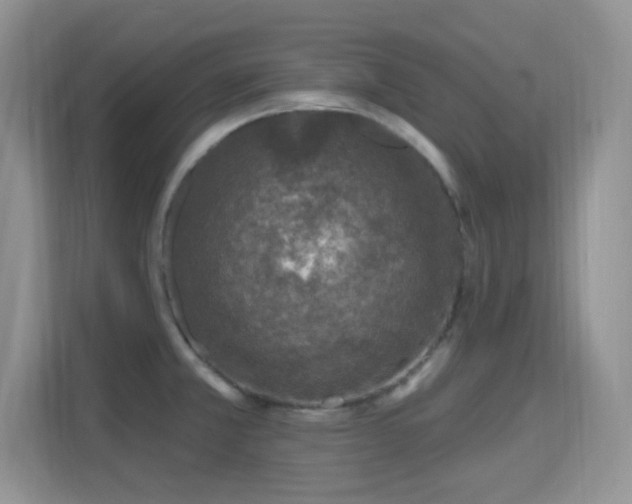 X0000115671381200911191017