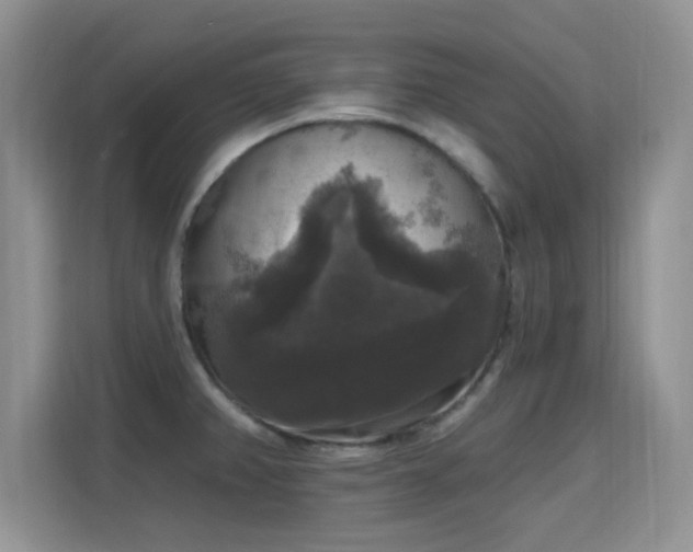 X0000115671382200911191017