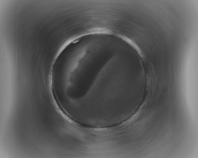X0000115671383200911191017