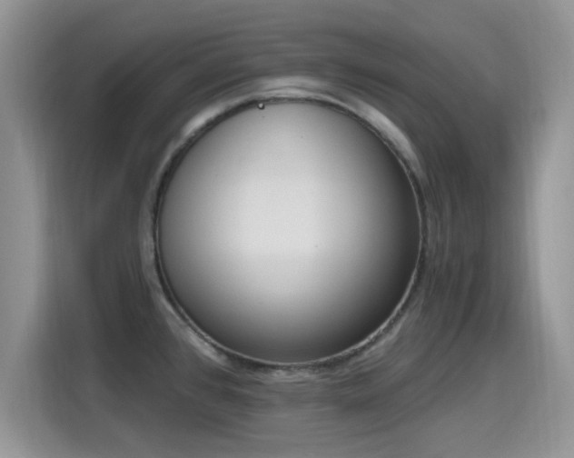 X0000115671384200911191017