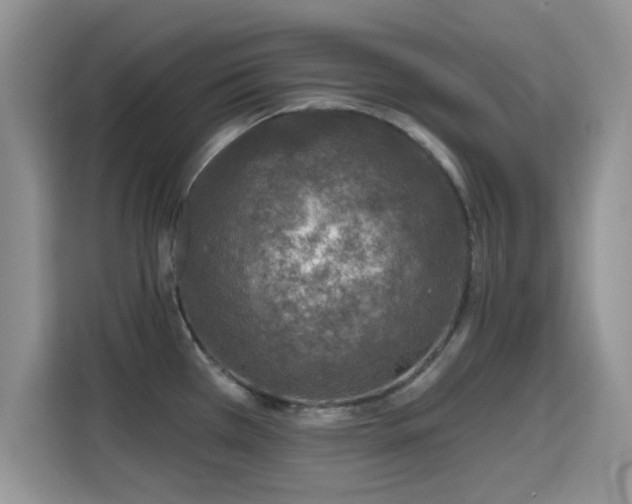 X0000115671385200911191017