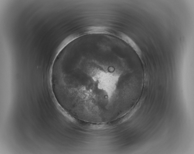 X0000115671386200911191017