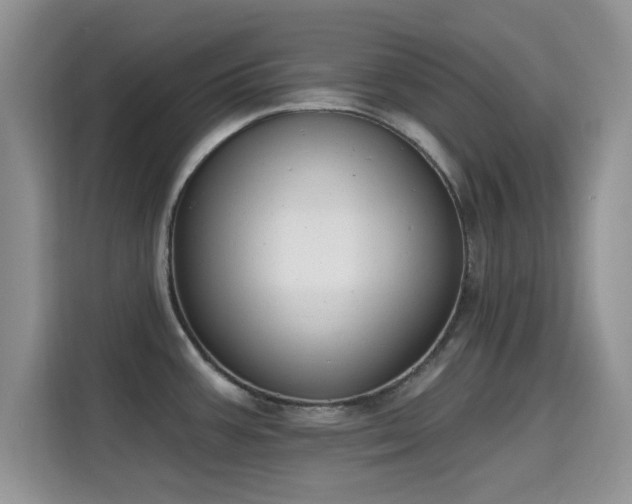 X0000115671387200911191017