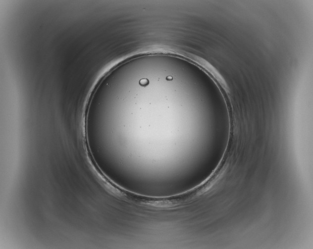 X0000115671388200911191017