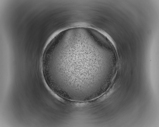 X0000115671389200911191017