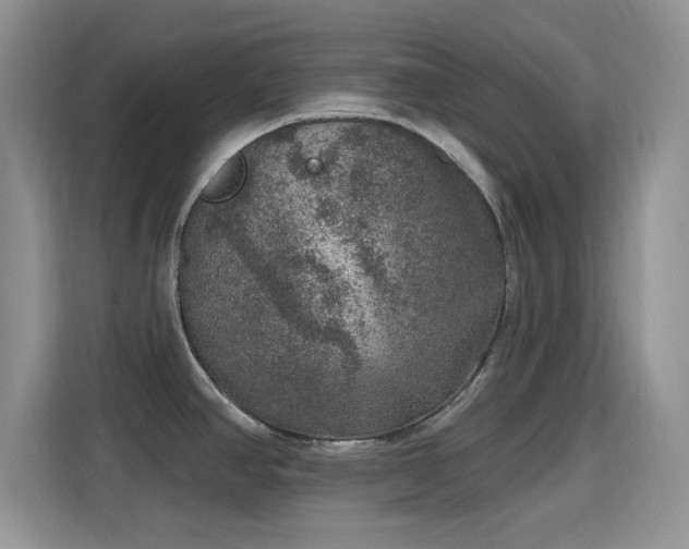 X0000115671390200911191017