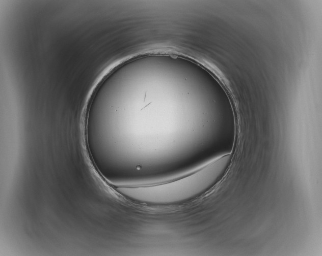 X0000115671392200911191016