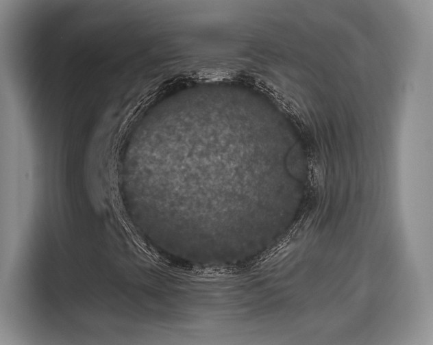 X0000115671393200911191016