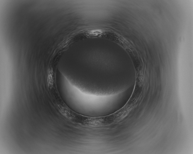 X0000115671394200911191016