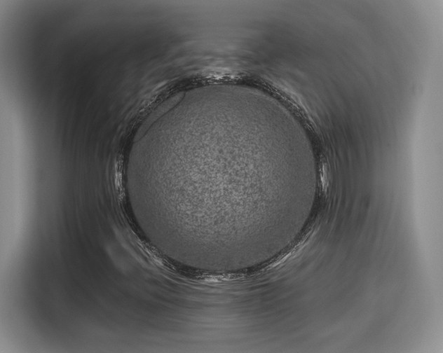 X0000115671396200911191016