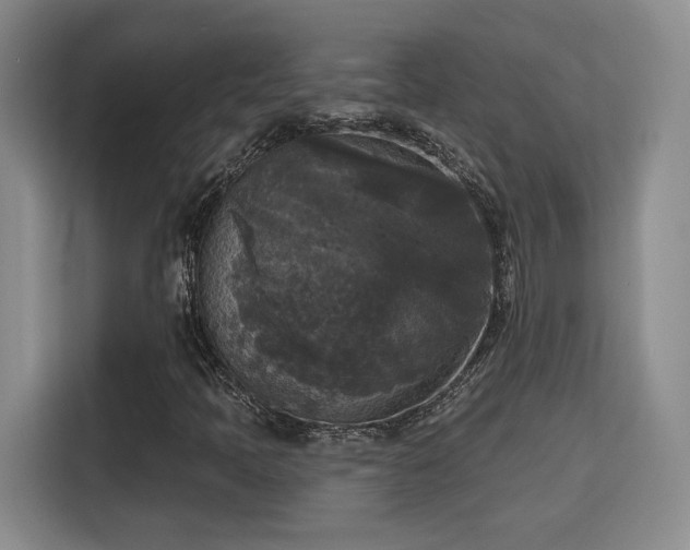 X0000115671397200911191016