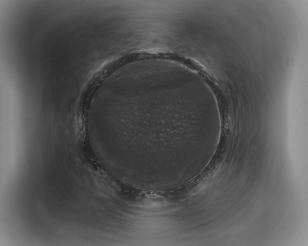 X0000115671398200911191016